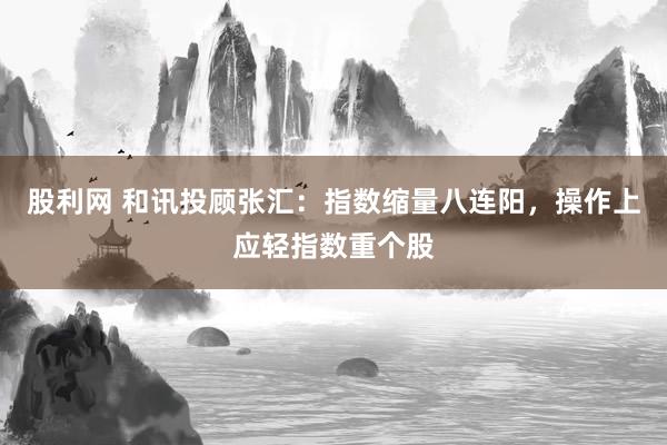 股利网 和讯投顾张汇：指数缩量八连阳，操作上应轻指数重个股