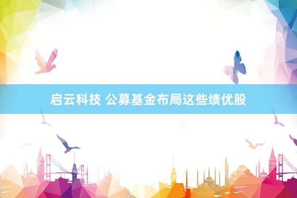 启云科技 公募基金布局这些绩优股