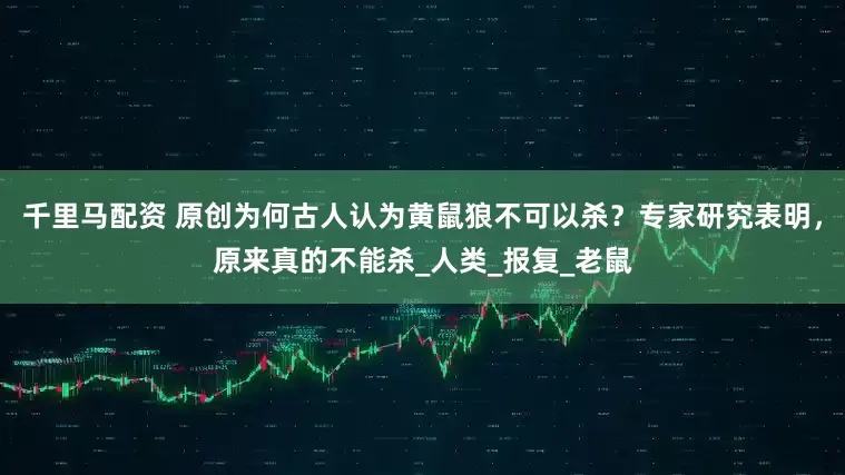 千里马配资 原创为何古人认为黄鼠狼不可以杀？专家研究表明，原来真的不能杀_人类_报复_老鼠