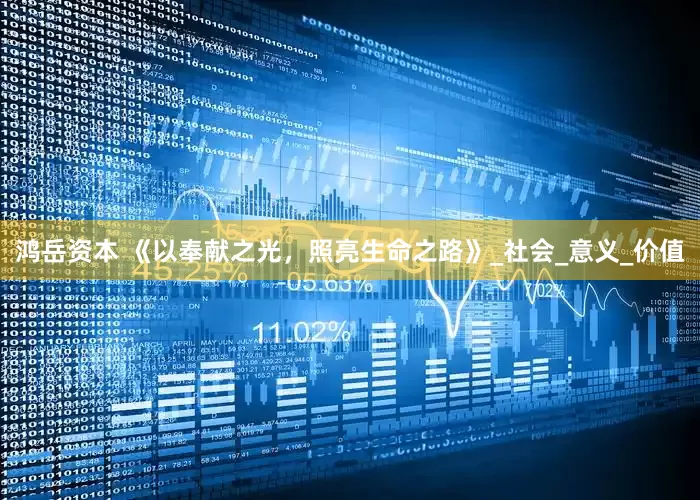 鸿岳资本 《以奉献之光，照亮生命之路》_社会_意义_价值
