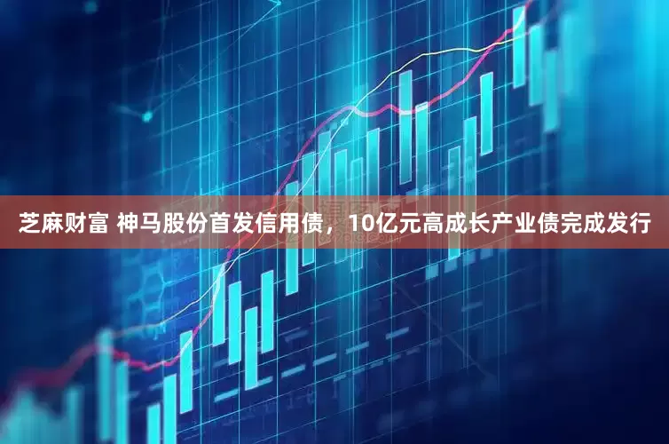 芝麻财富 神马股份首发信用债，10亿元高成长产业债完成发行