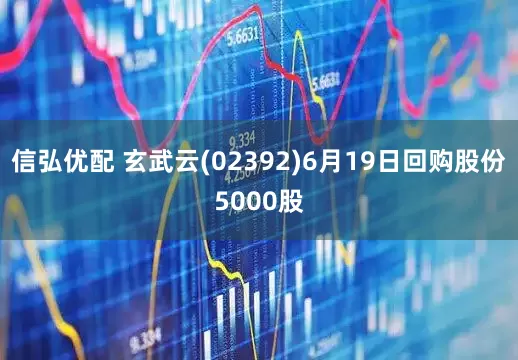 信弘优配 玄武云(02392)6月19日回购股份5000股