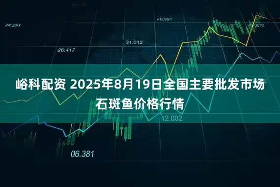 峪科配资 2025年8月19日全国主要批发市场石斑鱼价格行情
