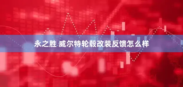 永之胜 威尔特轮毂改装反馈怎么样
